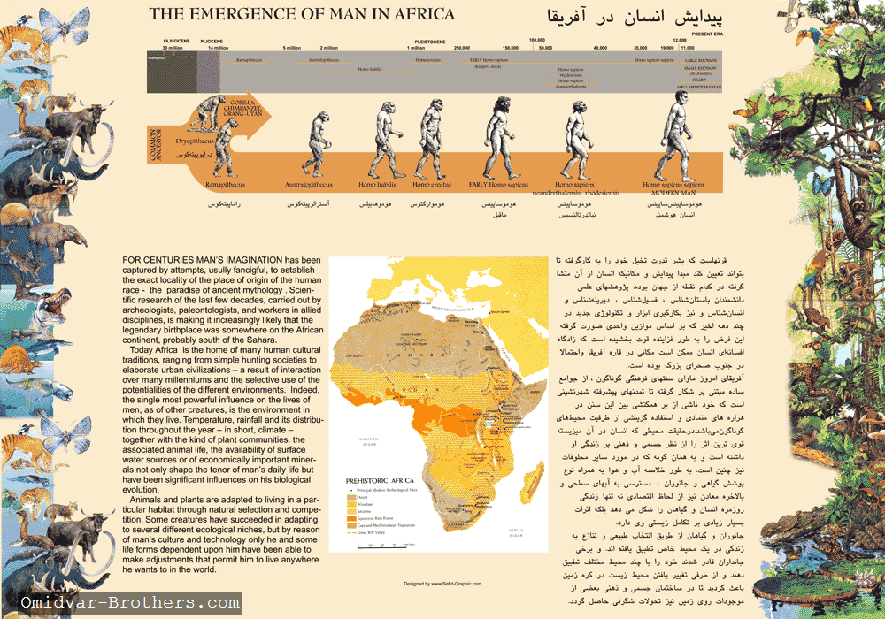 The Emergance of man in Africa